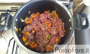 carne carote sedano