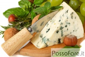 gorgonzola