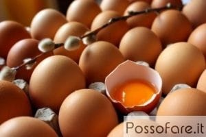 Come riconoscere le uova fresche e la loro provenienza