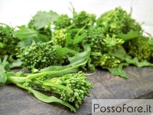 Cime di Rapa