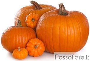 Conserva di Zucca