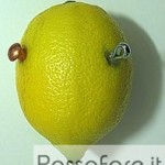 limone batteria