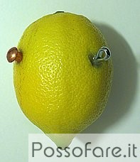 limone batteria