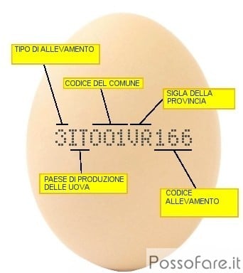 Conoscere l'Etichetta dell'Uovo