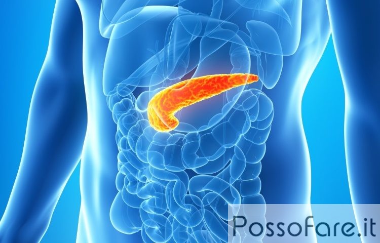 Il pancreas artificiale è già realtà, presto strumento più avanzato