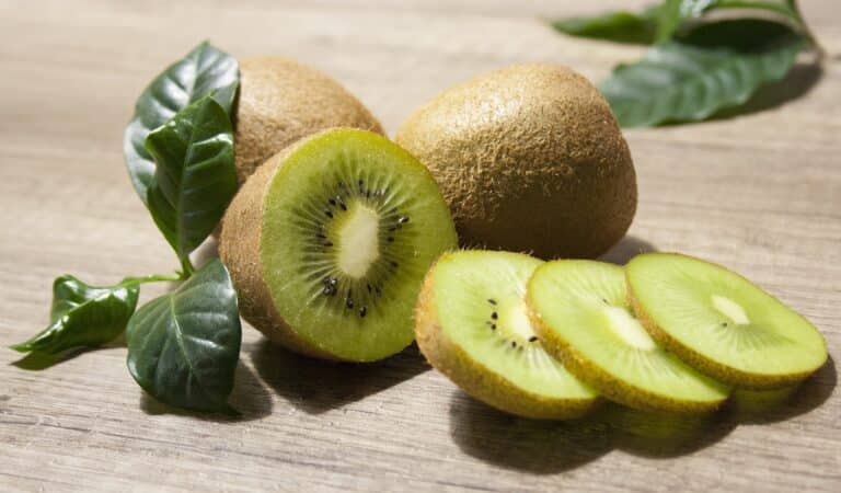 Kiwi: tutto ciò che devi sapere